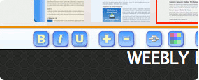 Customize Your Content